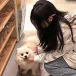 奥奇传说助手最新版下载